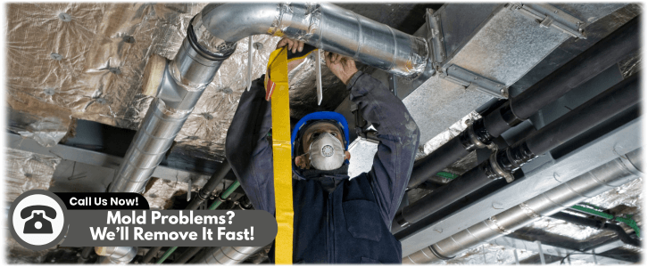 Air Duct Mold Removal in Lake Forest IL