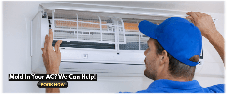 HVAC Mold Removal Lake Forest IL